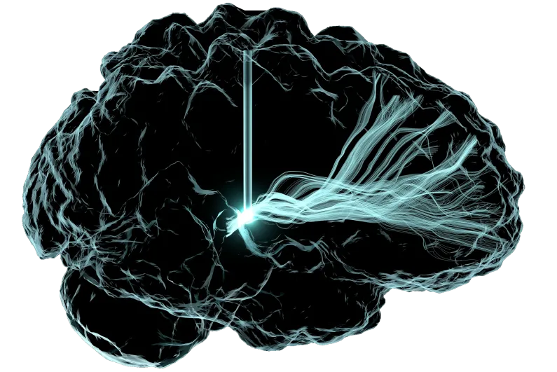 The CASE Approach to the  Methodical Mind